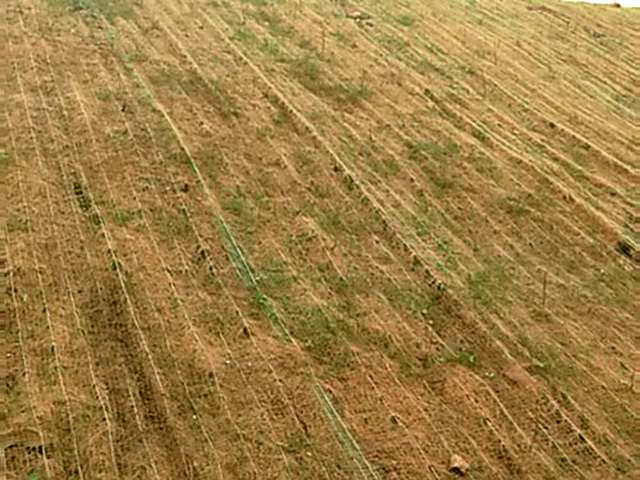 環(huán)保草毯出現(xiàn)不長草的現(xiàn)象應(yīng)該怎么解決?